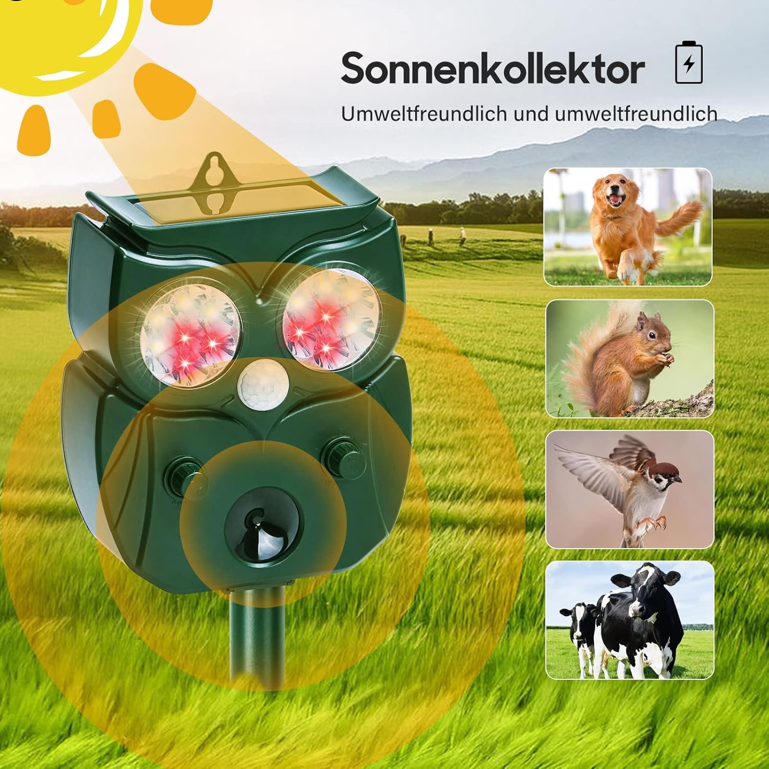 81TRgTWAr8L._AC_SL1500_