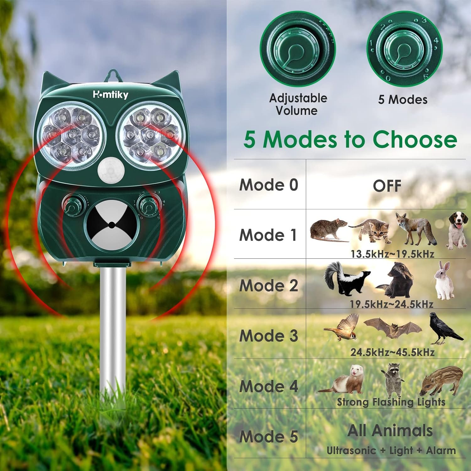 81fRQqU-a+L._AC_SL1500_