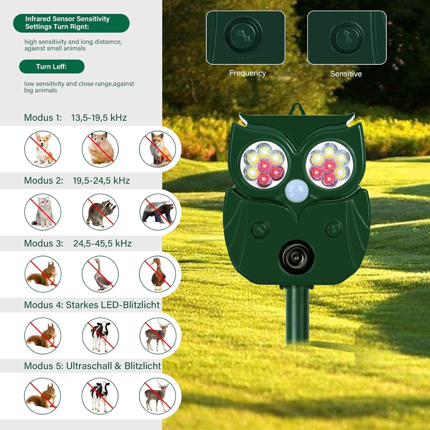 81npP2YNI7L._AC_SL1500_